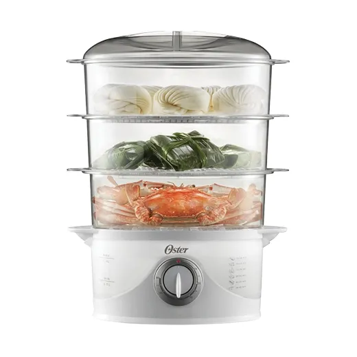 Food Steamer